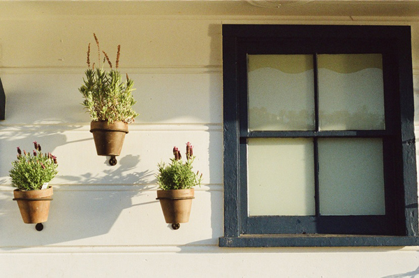 house window flowerpots large